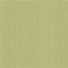 Watermill Lichen SKU 30421.23